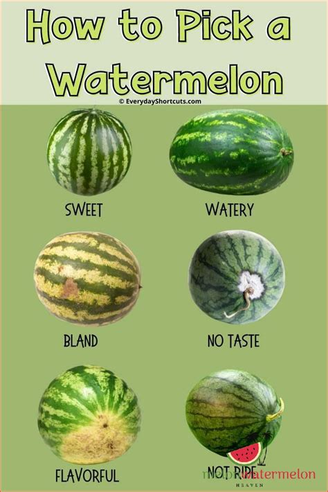 wet melons|Tips & Information about Watermelons .